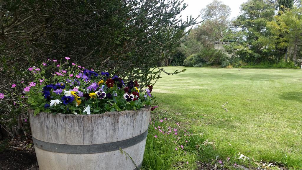 Padthaway Caravan Park Exterior photo